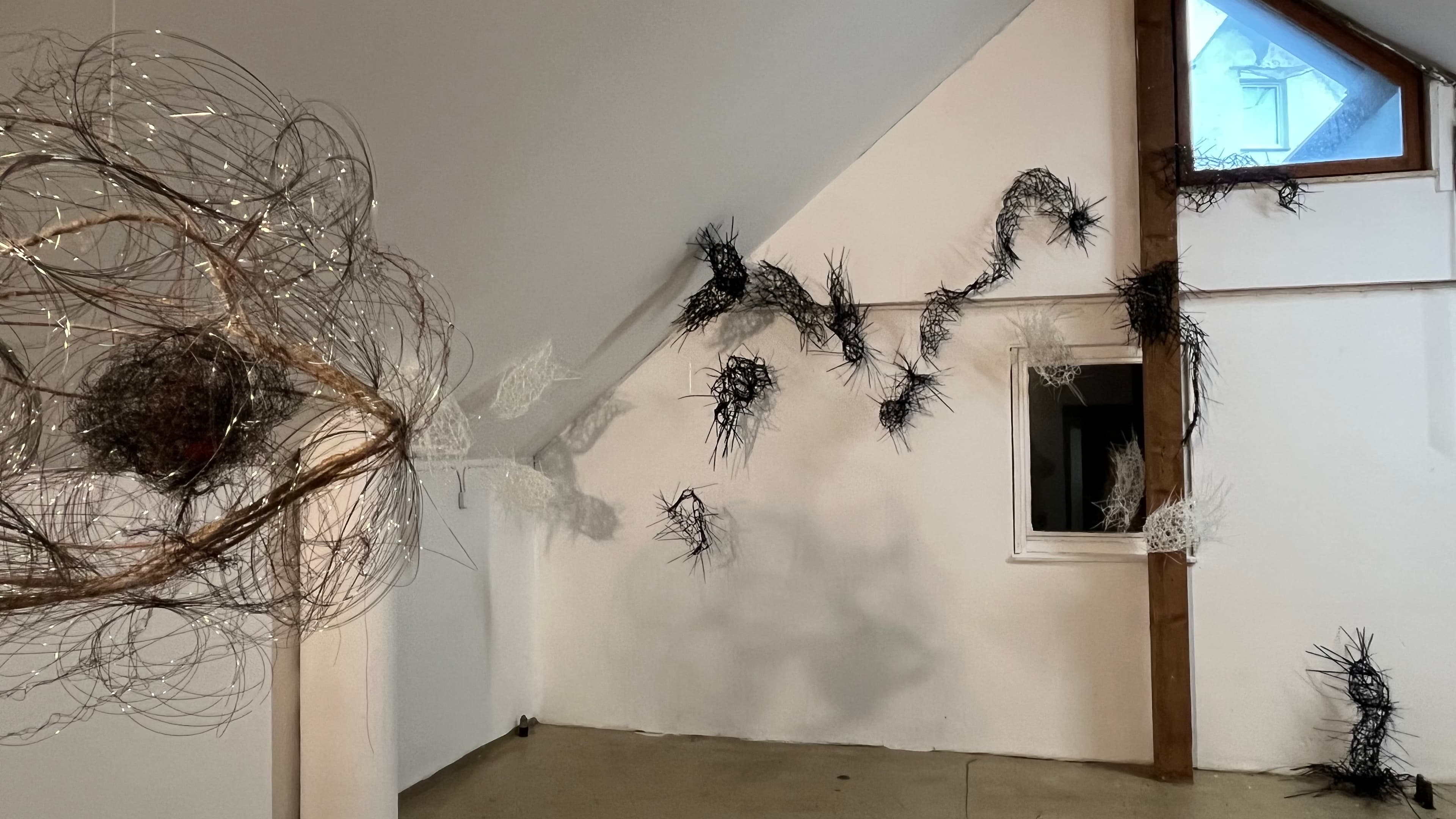 Susanne Krämer · Cocon universel