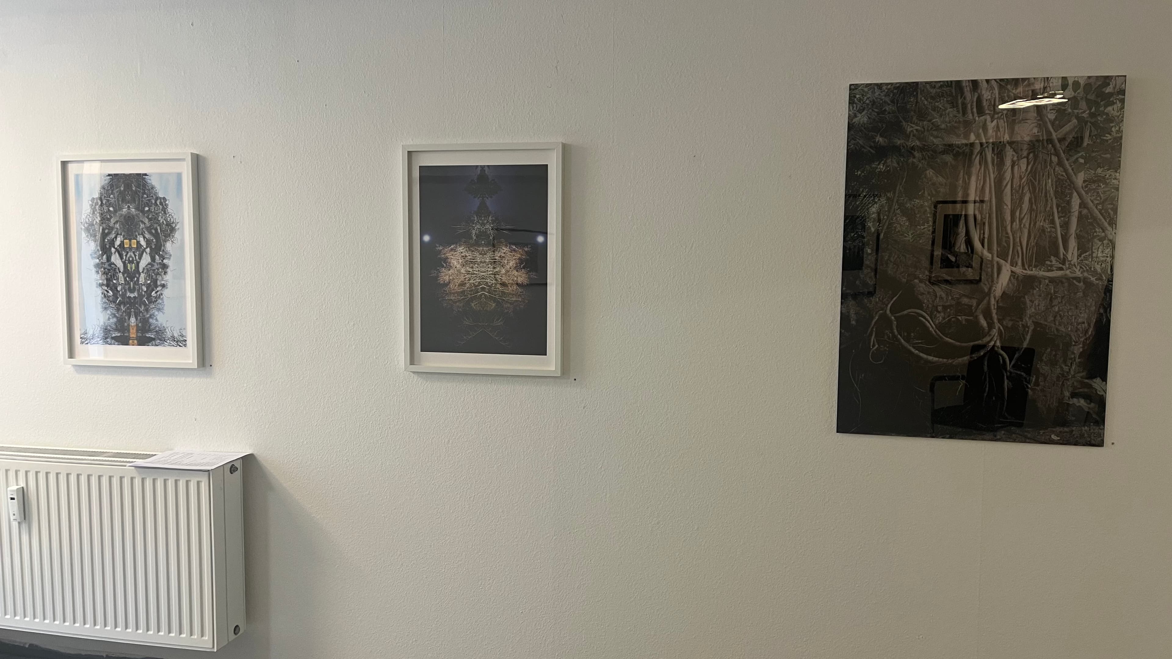Friederike Mühleck · Fotobilder