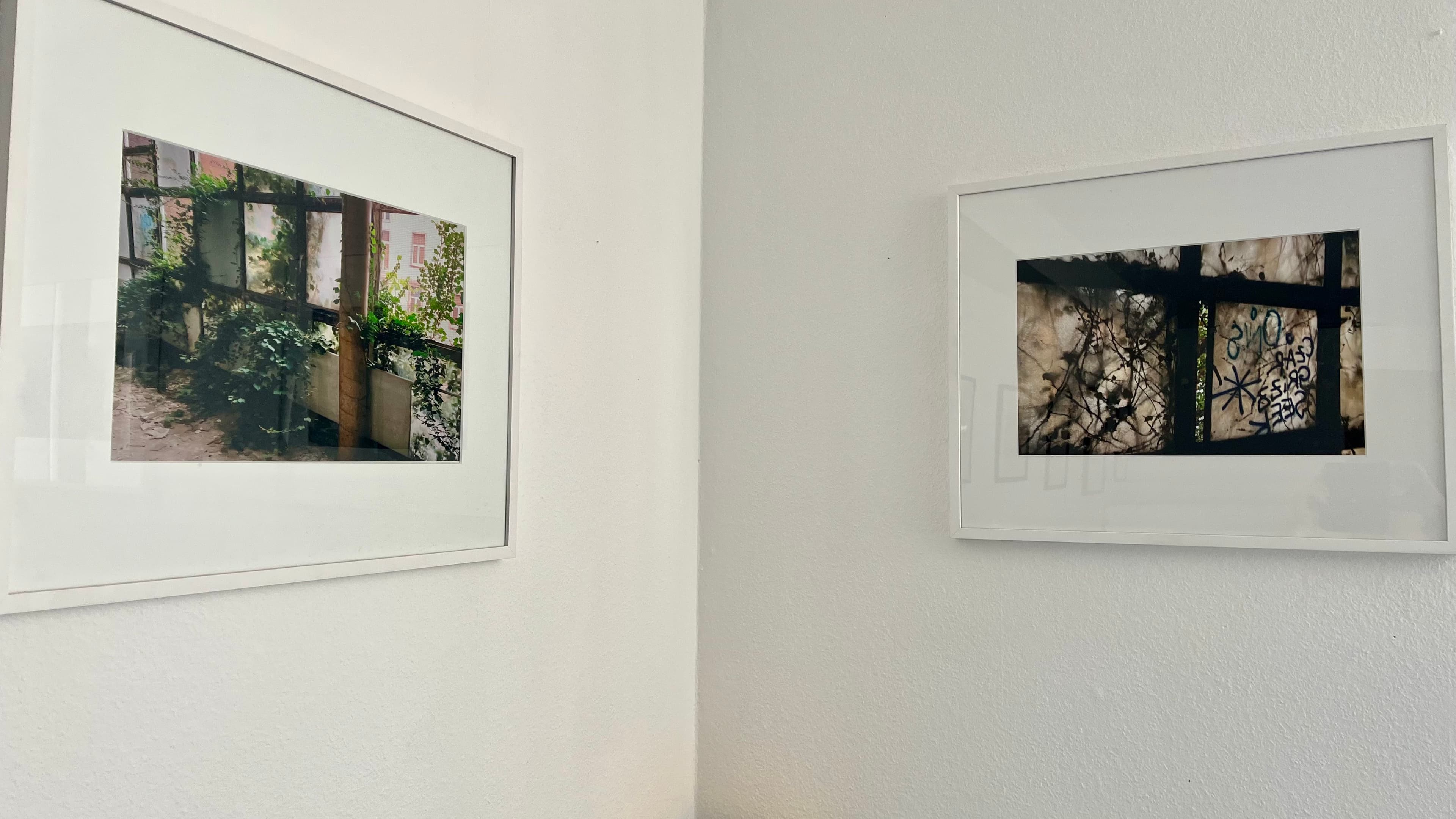 Simone van de Loo · Fotografien